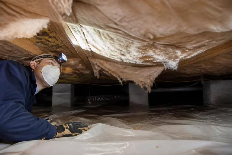 Inspector checking sagging crawlspace floor insulation